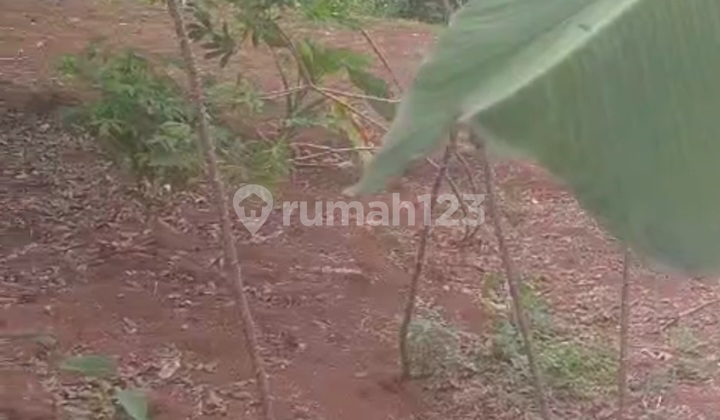 Tanah Tembalang Bulusan Dekat Kampus Undip Tembalang 1