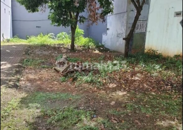 Tanah Tembalang Bulusan Utara Ring 1 Undip Tanah Tembalang Bulusan Utara Ring 1 Undip