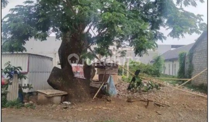 Tanah Tembalang Bulusan Utara Ring 1 Undip Tembalang 1
