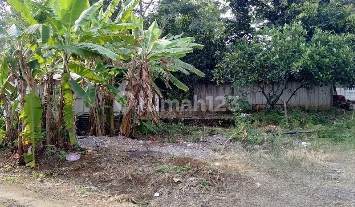 Tanah Tembalang Bulusan Utara Ring 1 Undip Tembalang 1