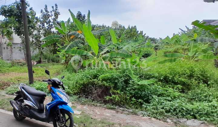 Tanah Tembalang Ring 1 Dekat Kampus Undip Tembalang 1