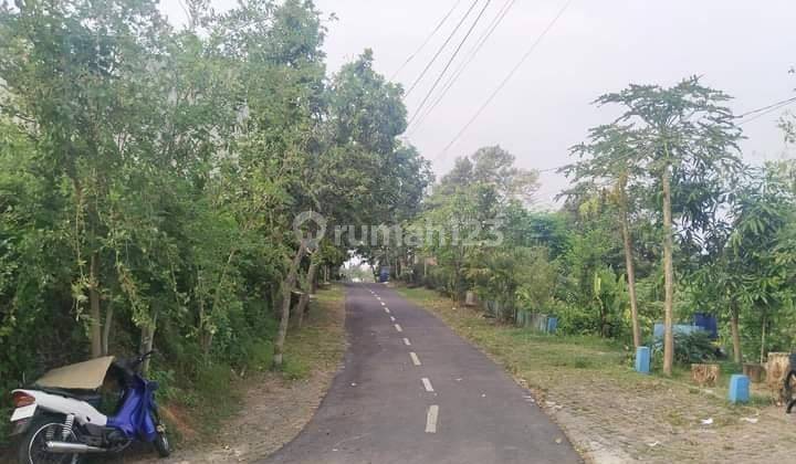 Tanah Tembalang Sawunggaling Dekat Undip Banyumanik  2