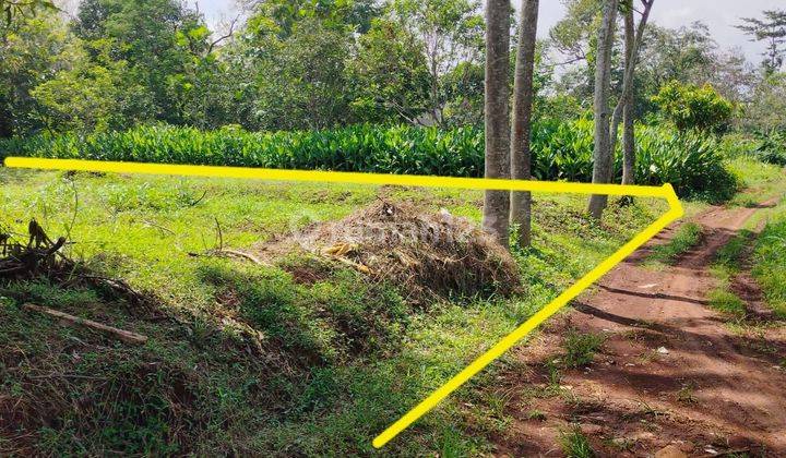 Tanah Tembalang Bulusan Selatan Undip Tembalang  2