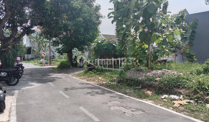 Tanah Tembalang Bulusan Dekat Undip Tembalang  1