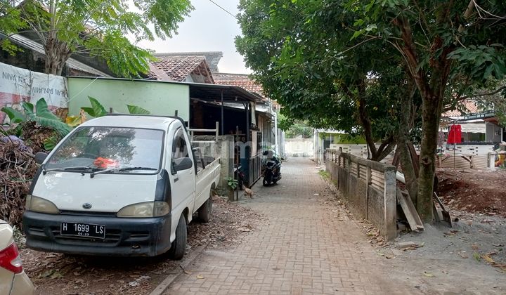 Tanah Tembalang Bulusan Gondang Dekat Undip Tembalang 2