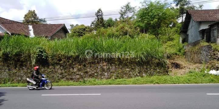 Tanah Kopeng Salatiga Sumogawe View Merbabu 1