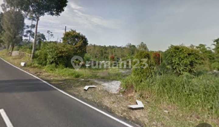 Land Kopeng Salatiga Suitable for Cheap Hotels and Cafes
