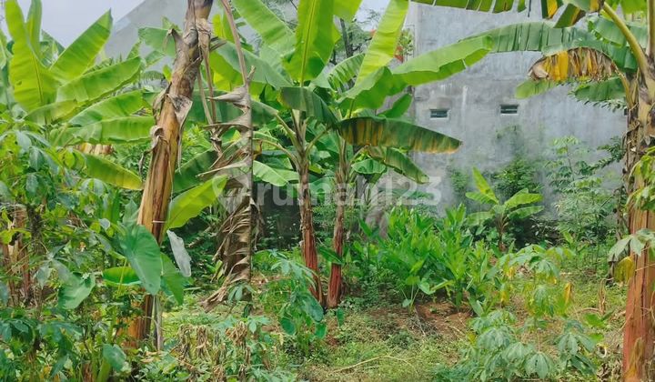 Tanah Tembalang Bulusan Undip Dekat Kampus Undip Tembalang 1