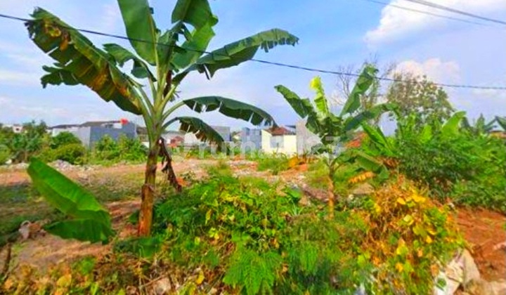 Tanah Tembalang Bulusan Utara Ring 1 Undip Tembalang 2