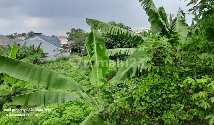 Tembalang Mulawarman Raya Land Near Undip Tembalang Campus 2