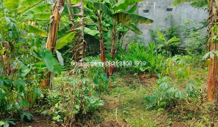 Tanah Tembalang Bulusan Dekat Kampus Undip Tembalang  2