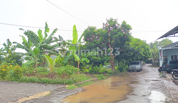 Tanah Tembalang Bulusan Utara Ring 1 Undip Tembalang 1