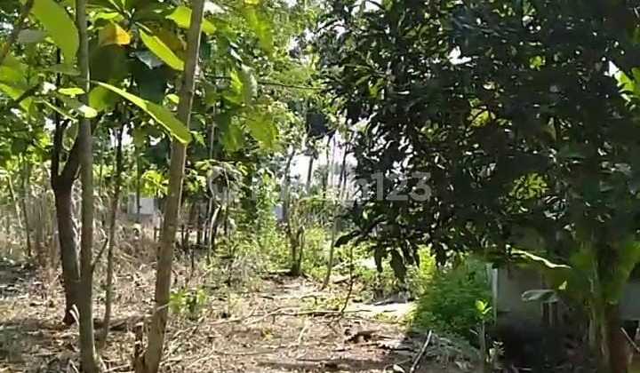 Tanah Tembalang Bulusan Utara Dekat Undip Tembalang 1