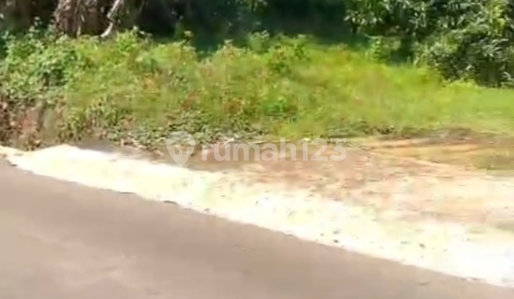 Ngaliyan Podorejo Land for Housing Near BSB 1