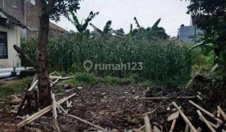 Tanah Tembalang Bulusan Dekat Undip Tembalang  2