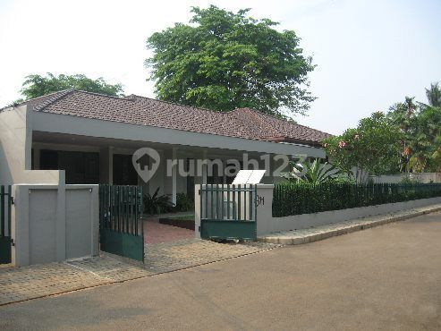 Sewa Rumah Pejaten Timur Siaga Raya Satu Lantai Luas 1185 Sqm