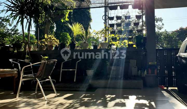 Rumah Asri Dan Sejuk Nempel Taman Taman Yasmin Bogor Barat Murah 2