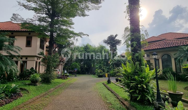 Rumah Sejuk dan Tenang di Cipete Harga Sewa Bikin Hemat Setahun