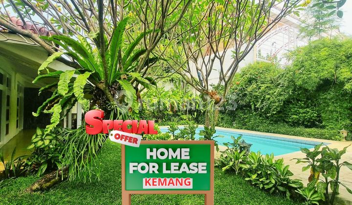 White Kitchen And Nice Garden House One Storey Kemang South Jkt