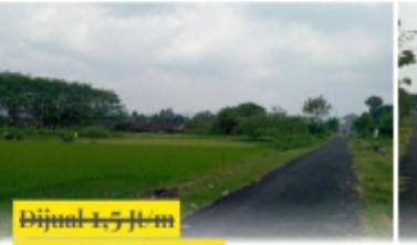 Dijual Murah Tanah Sawah di Berbah Sleman 2