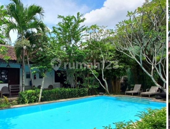 Dijual Guest House Dgn Kolam Renang Pribadi Yogyakarta