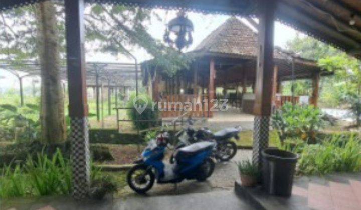 Disewakan Tempat Usaha Jln.kaliurang Yogyakarta 2