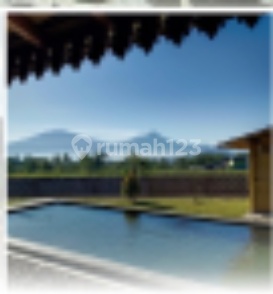 Dijual Rumah+villa Mewah Ada Kolam Renang.pribadi Magelang Dijual Rumah+villa Mewah Ada Kolam Renang.pribadi Magelang