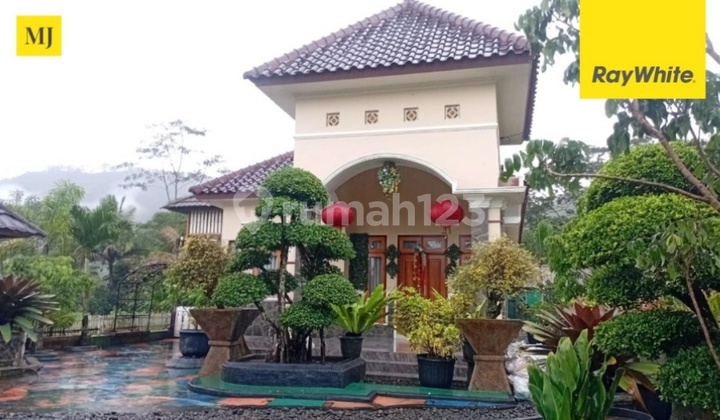 Dijual Murah Villa Mewah View Gunung Magelang Jateng Dijual Murah Villa Mewah View Gunung Magelang Jateng