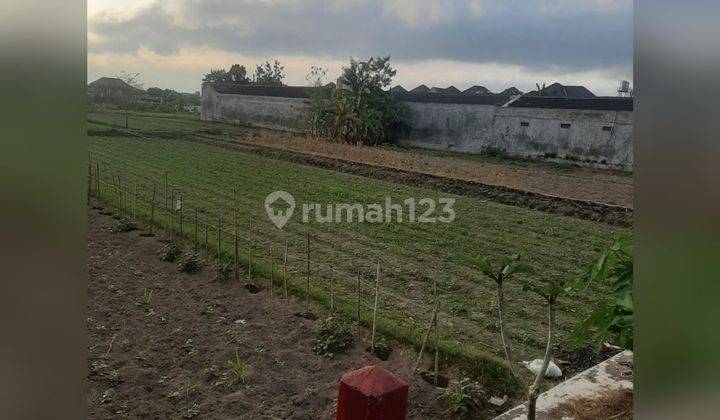 Dijual Murah Tanah Pekarangan Pinggir Jalan Jogjakarta 2