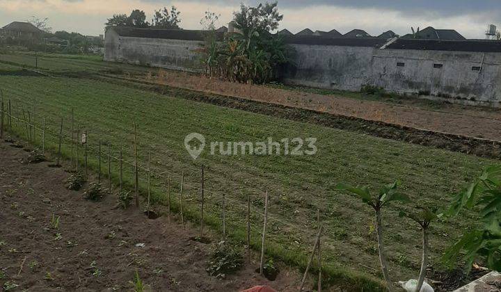 Dijual Tanah.pekarangan Timur Bandara Adisucipto Jogja 2