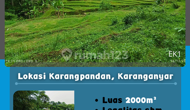 Cheap Rice Fields Karangpandan Cheap Rice Fields Karangpandan