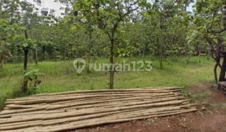 Agricultural Land in Manyaran Wonogiri Agricultural Land in Manyaran Wonogiri