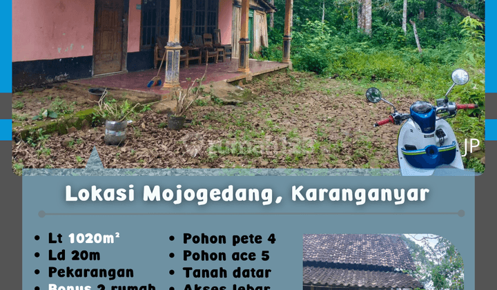 Kebun Durian Bonus Dua Rumah Mojogedang  1