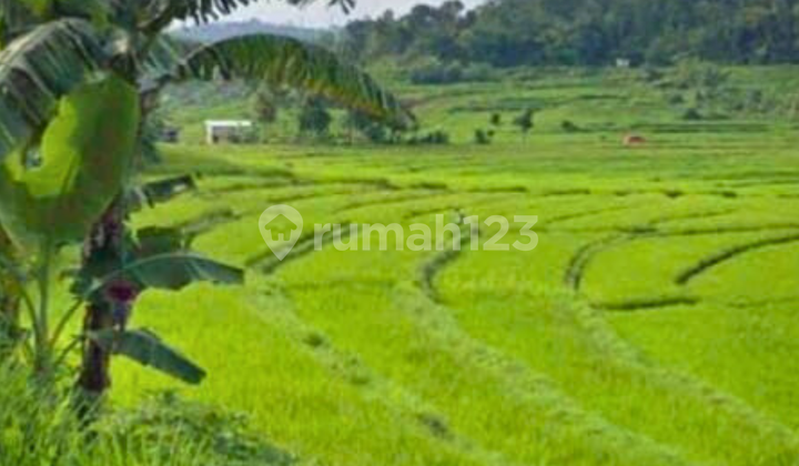 Tanah Karangpandan Karanganyar 225 Juta