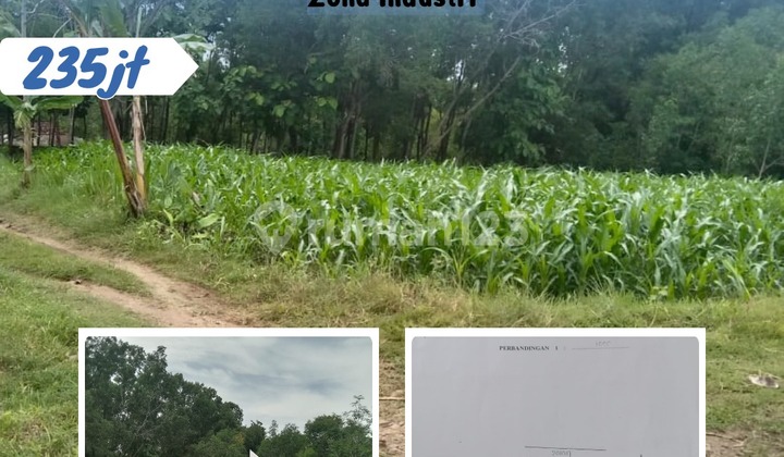 Pekarangan Murah Kebakkramat 