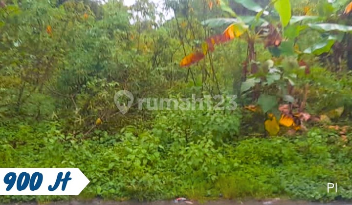 Pekarangan Depan Perumahan Kebakkramat