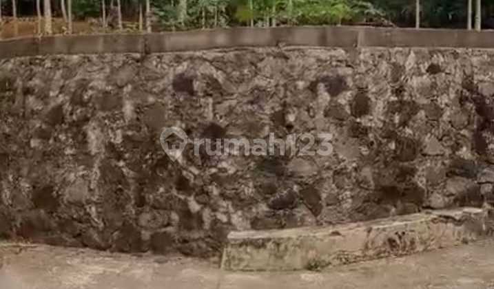 Hook Jumantono Yard Hook Jumantono Yard