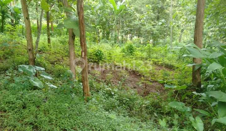 Tanah Desa Blorong Jumantono 250 Juta  2