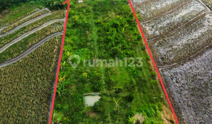 Tanah Pekarangan Selatan Alun2 Karanganyar Tanah Pekarangan Selatan Alun2 Karanganyar