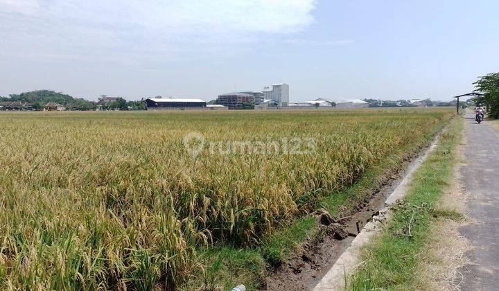 Sawah 1823m2 Dekat Pabrik Kebakkramat Idr 600jt  2