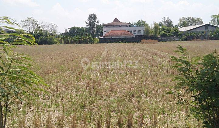 Sawah Zona Kuning 2309m2 Jaten Karanganyar Idr 3m  1