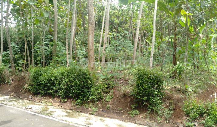 Pekarangan 541m² Kontur Datar Jumantono  2