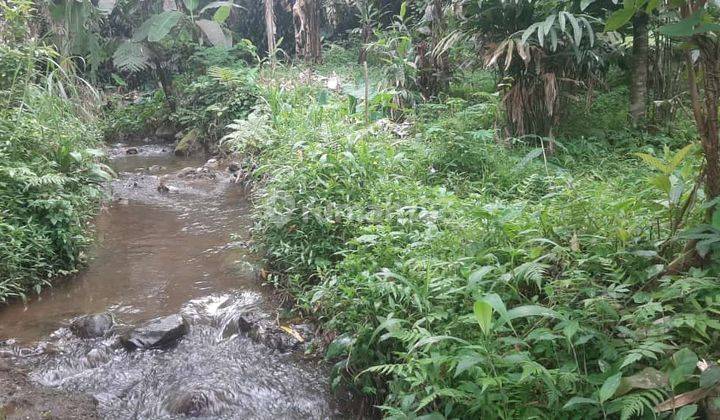 Tanah Kemuning Pinggir Sungai Jernih Dan Sumber Mata Air  2