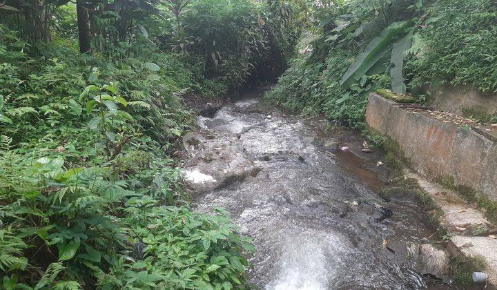 Tanah Kemuning Pinggir Sungai Jernih Dan Sumber Mata Air  1