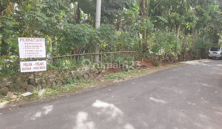 Kebun Durian Jumantono 2150m2  1