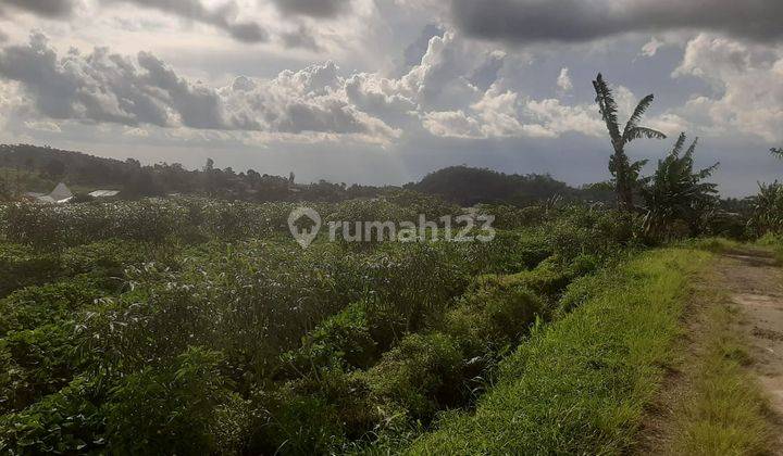 Tanah Pekarangan Kemuning View 360  2