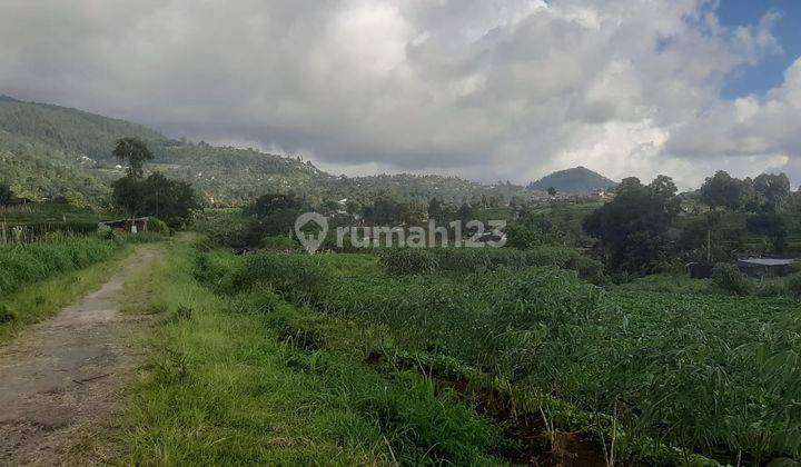 Tanah Pekarangan Kemuning View 360  4