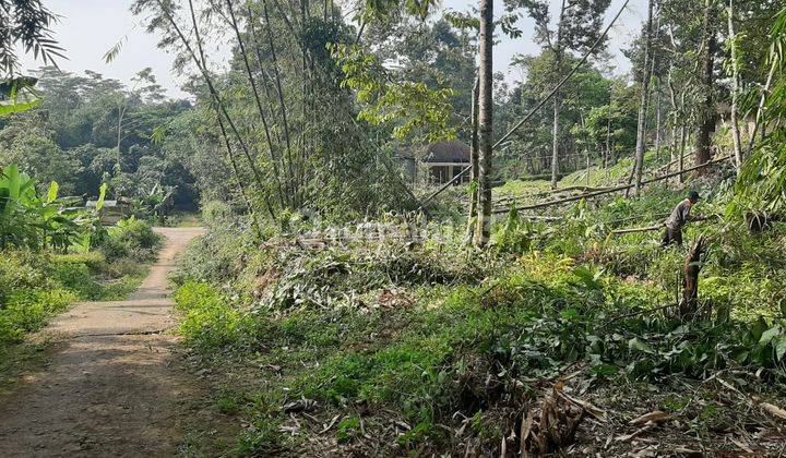 Tanah Pekarangan Siap Bangun Karangpandan  1