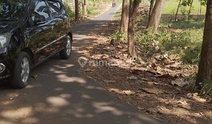 Pekarangan 2 Muka Jalan Mojogedang  2