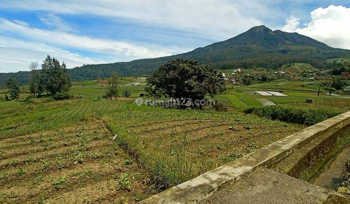  Tanah Pinggir Jalan Tembus Tawangmangu  1